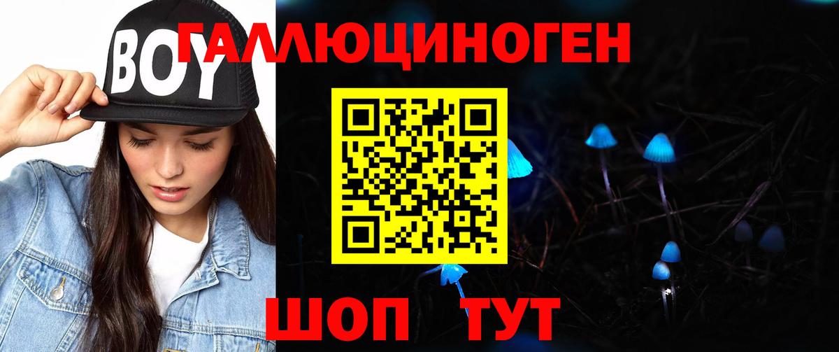 Псилоцибиновые грибы прущие грибы  Вход с VPN  Дюртюли 